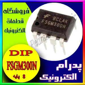 FSGM 300N DIP-8