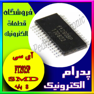 FT2925P ORG TSSOP-28