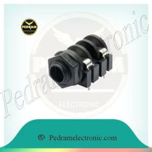 جک مادگی میکروفون کروز